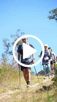 BIB:  <button type="button" onclick="openModal(26598441)" class="btn btn-primary btn-sm float-right" data-toggle="modal" data-target=".modal-high-quality">
                <i class="fa fa-download"></i> Download
                </button>